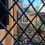 Giglio Glasshouse *